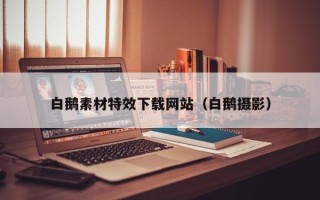 十堰白鹅素材特效下载网站（白鹅摄影）